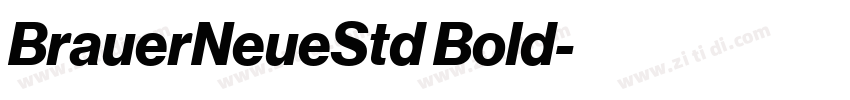 BrauerNeueStd Bold字体转换